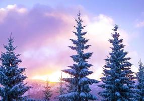 prachtig winterlandschap foto