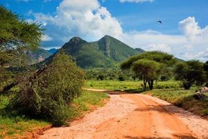 rode grondweg, struik met savanne. tsavo west, kenia, afrika foto