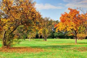 herfst, herfstlandschap in park foto