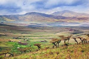 savannelandschap in tanzania, afrika foto