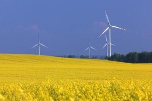 windturbinepark op het koolzaadveld. ecologie, milieu foto