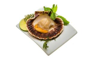 coquille met asperges, limoen, munt en rozemarijn foto