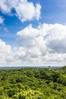 panoramisch uitzicht op regenwoud en Maya-ruïnes. tikal, guatemala.