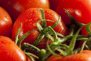 biologische rode rijpe tomaten