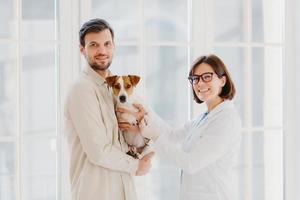vetarinair en diergezondheidsconcept. gelukkig lachende vrouwelijke dierenarts geeft om de gezondheid van honden, gaat jack russell terrier onderzoeken, praat met klant, werkt in medisch centrum voor huisdieren foto