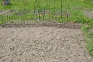 voorbereide tuin en bedden voor het planten van groenten in het dorp foto