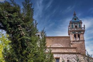 lage hoekmening van kathedraal en bomen tegen hemel in historische stad foto