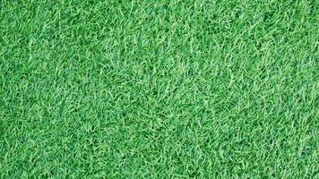 groen gras textuur achtergrond met kopie ruimte foto