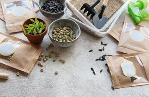 microgreenzaden in papieren zakken en apparatuur voor het zaaien van microgreens. foto