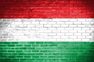 Hongarije vlag muur textuur achtergrond foto