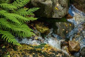 kleurrijke bergtaferelen in noorwegen. prachtig landschap van noorwegen, scandinavië. Noorwegen berglandschap. natuur in de zomer. foto