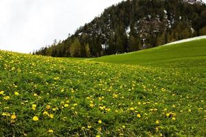 prachtig berglandschap in de Alpen foto