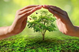 handen beschermen bomen wereld milieu dag concept foto