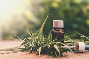 cannabis kruid en bladeren met olie-extracten in potten. medisch concept foto