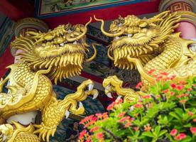 gouden draakbeeldhouwwerk en rode bloem van Christusdoorn in Chinese religieuze locaties foto