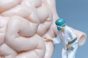 miniatuur mensen arts die het maagdarmkanaal onderzoekt foto
