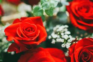 boeket verse rode rozen, bloem lichte achtergrond. close-up van een rode roos met waterdruppels. foto