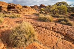 het landschap van Kings Canyon in de noordelijke staat van de outback, Australië. foto