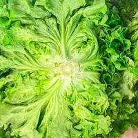 groen sla salade mix bladeren fruit toonbank markt winkel gezond maaltijd eten dieet snack kopieer ruimte voedsel achtergrond rustiek foto