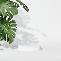 3D-rendering mock-up zomerpodium voor productontwerp, minimale weergave. schaduw overlay. foto