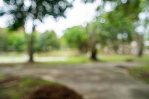 groen getinte wazig natuur bokeh openbaar park met verschillende bomen. foto