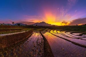 ochtendzicht in zonnige en prachtige rijstvelden en hoge bergketen
