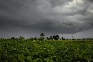 natuur en bliksem wanneer onweerswolken aankomen in de rijstvelden van Bengkulu, Indonesië, Azië foto