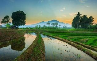 weerspiegeling van het ochtendlandschap in de blauwe rijstvelden en bergen in bengkulu, indonesië foto