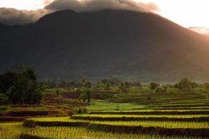 de schoonheid van een mistig ochtendpanorama met zonsopgang en rijstvelden aan de voet van de berg in Indonesië foto