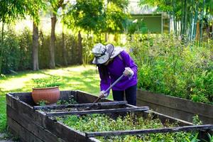 graden werknemer het verzorgen van de plant in de tuin. foto