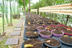 aarde in gearrangeerde bloempot foto