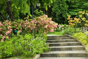 landschap van bomen, bloemen en trappen in chatuchak park, bangkok, thailand foto