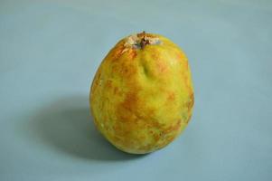 guave met gele schil op een lichtblauwe achtergrond foto