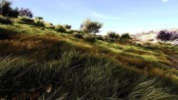 groene weiden en prachtige blauwe lucht de natuur maakt goede dingen, 3D-rendering foto