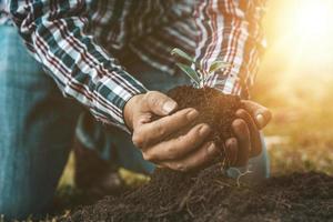 een man plant jonge boompjes in de grond in een tropisch bos en plant een vervangende boom om de opwarming van de aarde tegen te gaan. het concept van het redden van de wereld en het verminderen van de opwarming van de aarde. foto