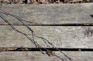 achtergrond van oude houten planken met houten tak, natuurlijke achtergrond foto