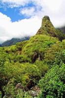 iao naald maui hawaii foto