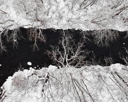 luchtfoto drone uitzicht op besneeuwde bomen en een rivier foto