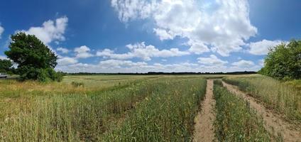 prachtig panorama met hoge resolutie van een Noord-Europees landlandschap met velden en groen gras foto