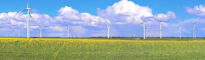 panoramisch zicht op alternatieve energie windmolens in een windpark in Noord-Europa foto