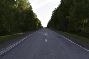 bos snelweg overdag in de zomer foto