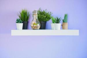 plantenpotten gedecoreerd op een witte boekenplank op een violette muur foto