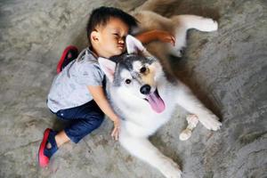 Aziatische jongen speelt met Siberische husky thuis. kind slapen met hond. foto