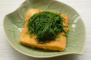gebakken tofu plantaardig vegetarisch eten