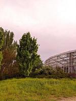 natuur, populierenfotografie, schoonheid in de natuur foto