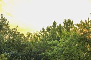 geweldig kleurrijk oranjerood en geel zonsonderganghemelpanorama. foto