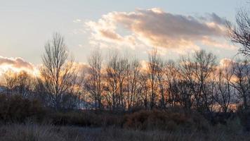 prachtig landschap van het platteland van madrid. zonsondergang achter de bomen. foto