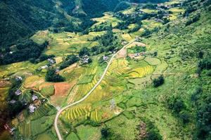 boven uitzicht op het dorp Tavan en het rijstveld, terrasvormig in de vallei bij Sapa foto