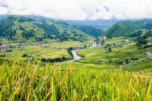 uitzicht op rijstveld met stamdorp in vallei foto
