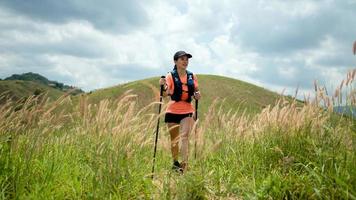 jonge vrouwen actieve trail die 's middags over een weide op een met gras begroeid pad hoog in de bergen loopt met een wandelstok foto